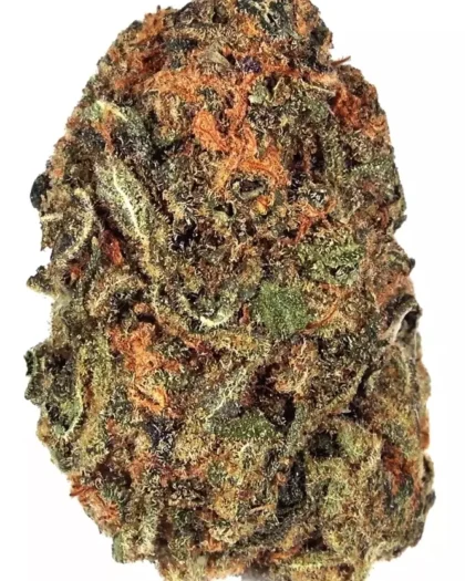 Acapulco Gold (28g)