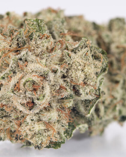 Gorilla glue #4 (28g)