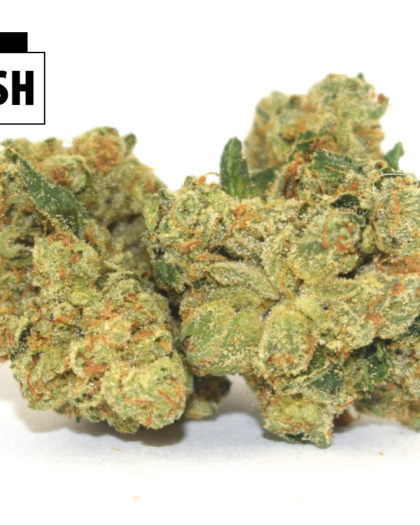 OG Kush (28g)